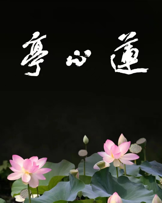 周敦颐理学文化研究与传承 | 爱莲说 | 周敦颐后裔 | 濂溪书院 周敦颐理学文化研究与传承 | 爱莲说 | 周敦颐后裔 | 濂溪书院